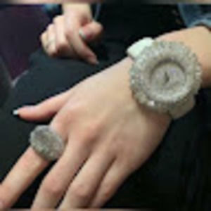 Meet your Posher, Annie